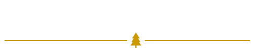 Supertree Services
